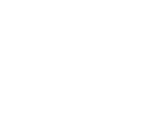 cta1-icon