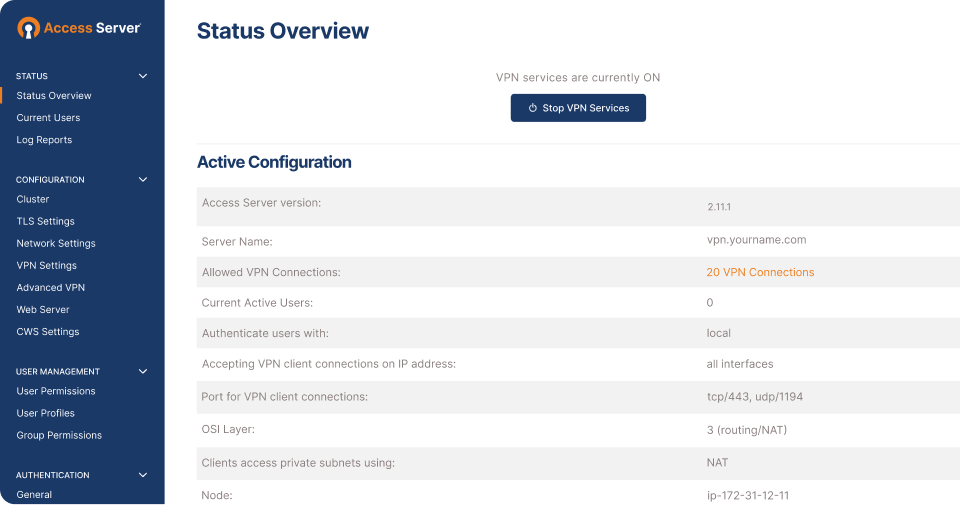 Access Server Web Overview