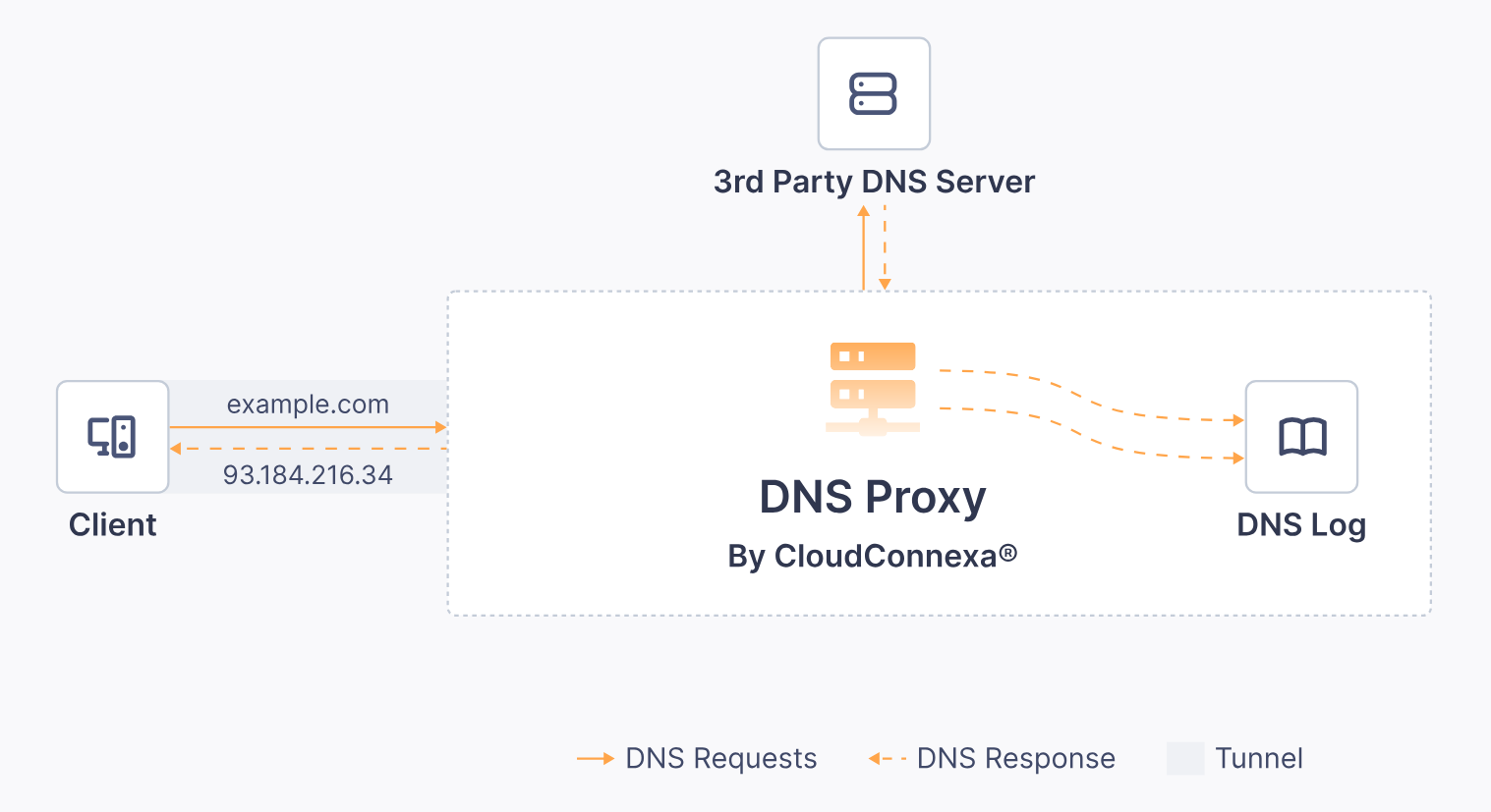 DNS log priciniple of operation