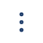 vertical_dots_icon.png