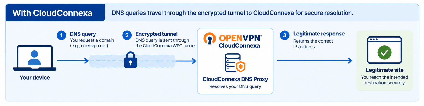 dns_protection.png