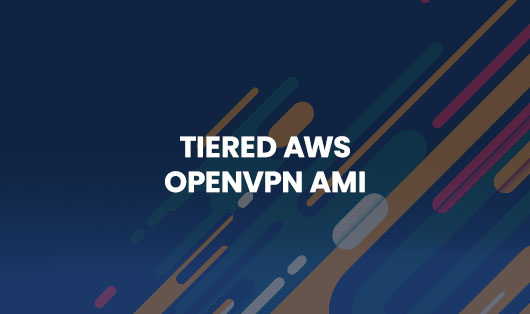 aws openvpn