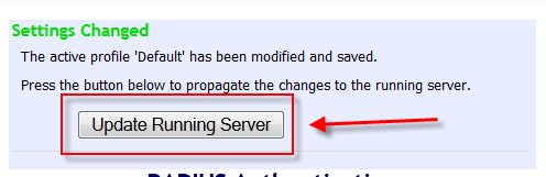 UpdateRunningServer