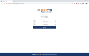instal the new for windows OpenVPN Client 2.6.6