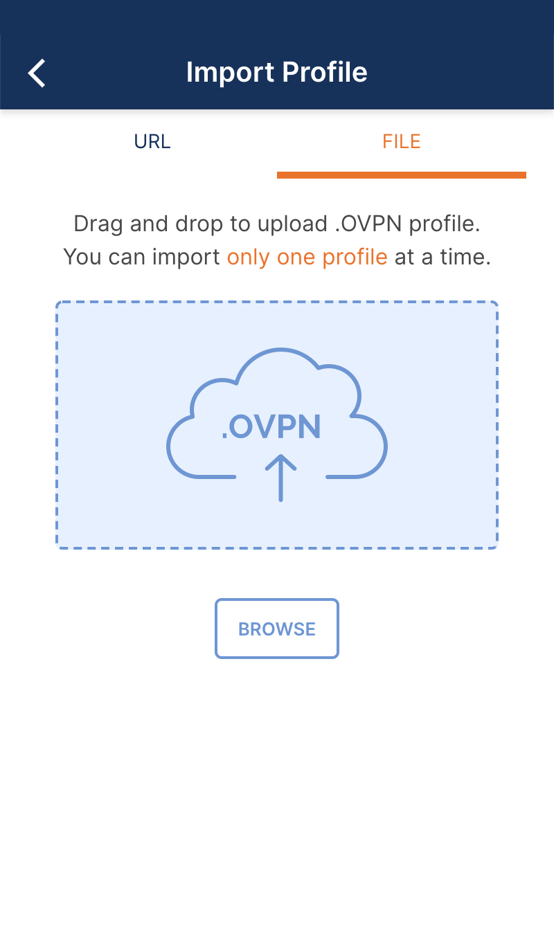 instal OpenVPN Client 2.6.5