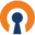 Secure Remote Access | OpenVPN