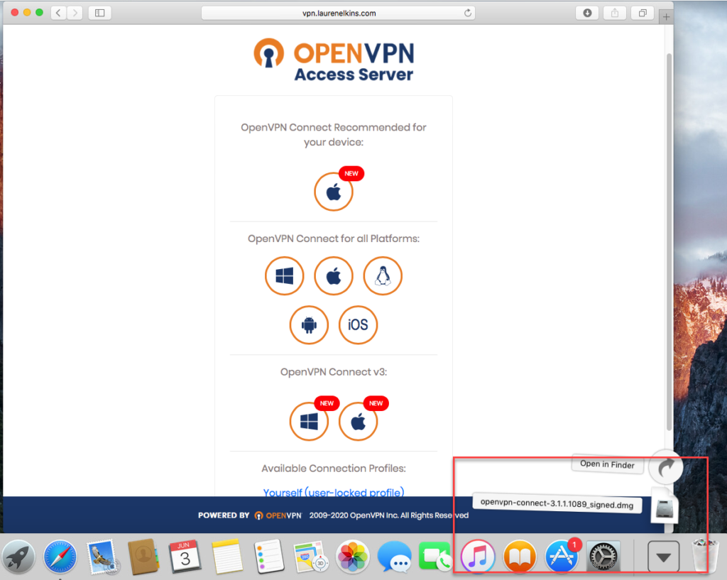 openvpn server mac client