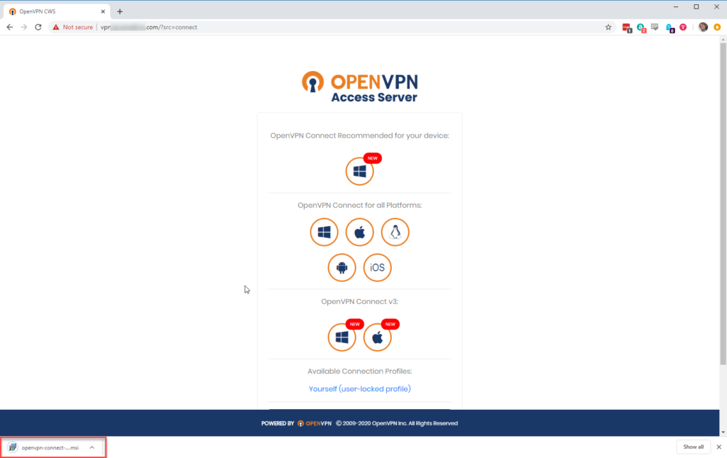 instal the new for windows OpenVPN Client 2.6.6