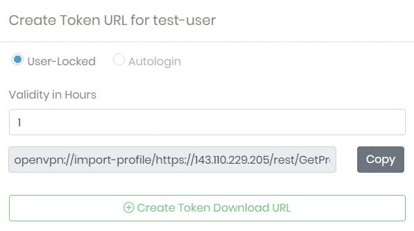 token URL screenshot