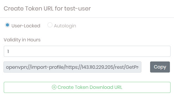 token URL screenshot